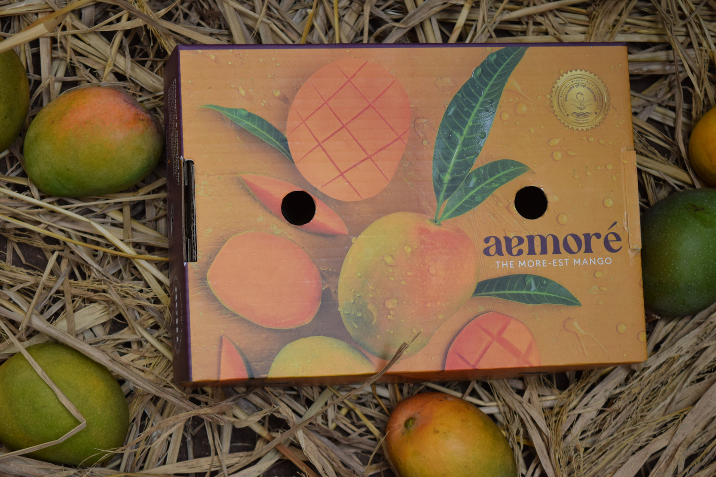 Premium Alphonso Mango (12 Pieces)